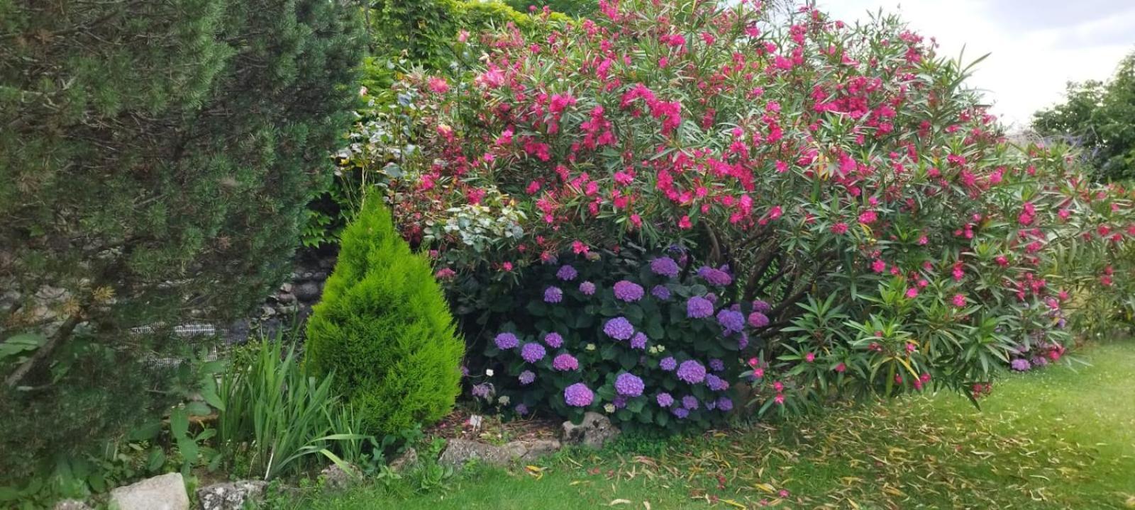 Gite 5 "Le Laurus" Aux Magnolias Aubenas Buitenkant foto