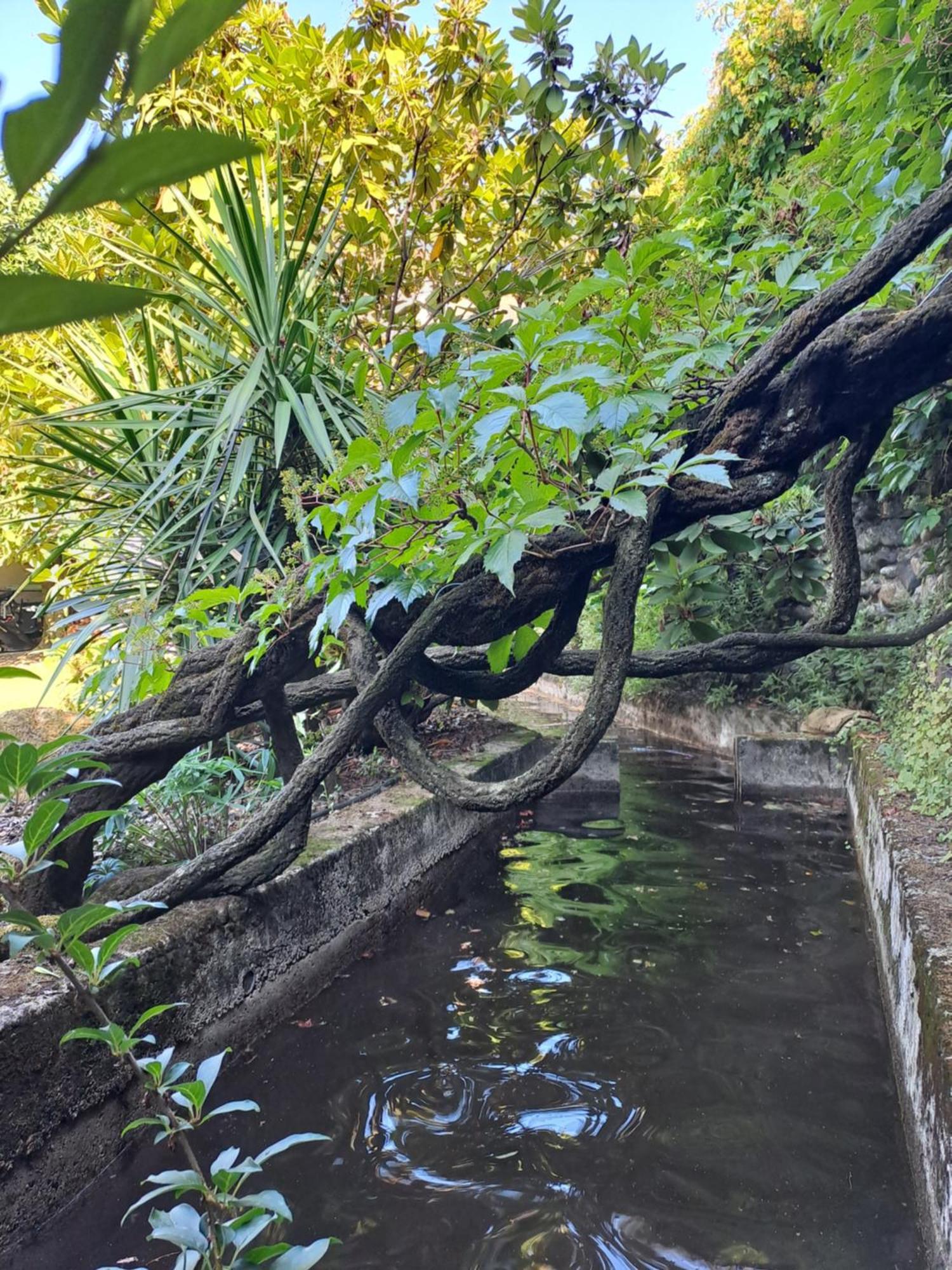 Gite 5 "Le Laurus" Aux Magnolias Aubenas Buitenkant foto